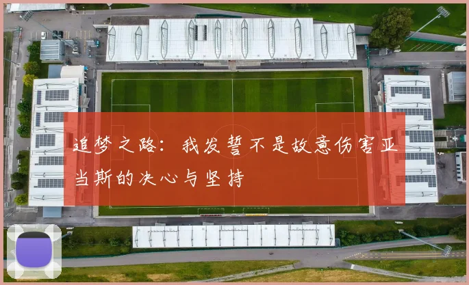 追梦之路：我发誓不是故意伤害亚当斯的决心与坚持