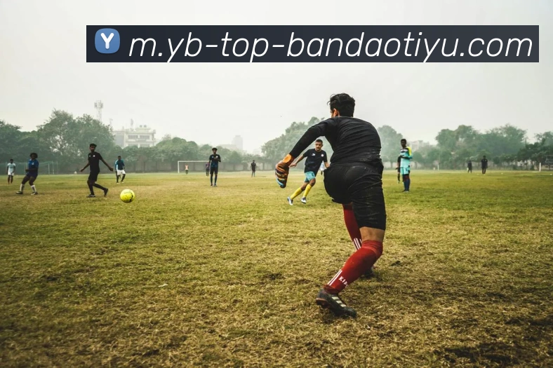 半岛体育发展历程